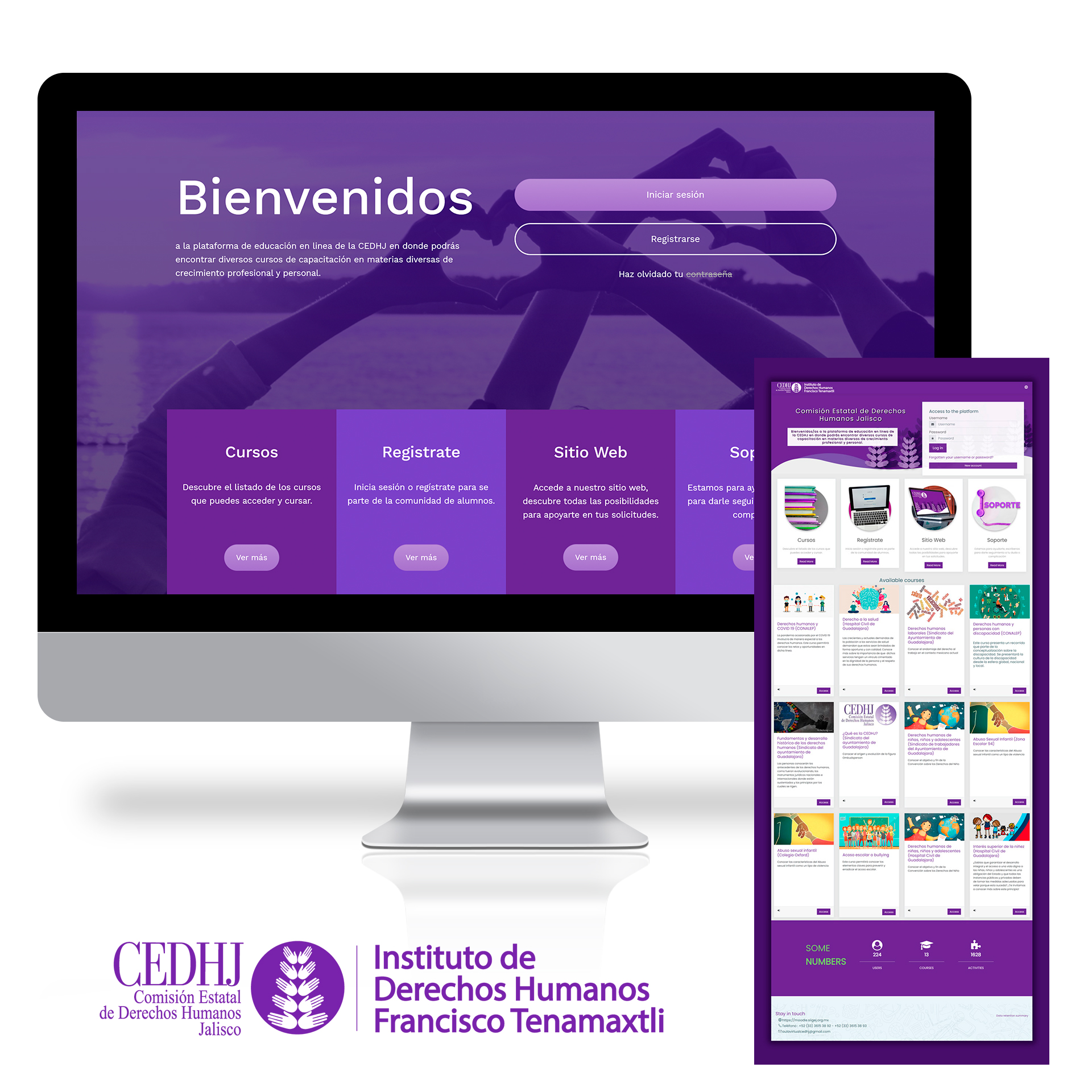 Agencia de Marketing Digital y Desarrollo Web en Guadalajara